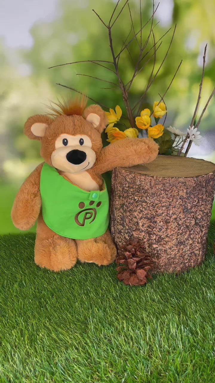Pawley the Bear Plushie with Matching Bags and Storybook travel & adventure!